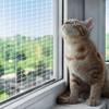 Katzenschutznetz von QILUCKY