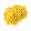 Goldhirse von ‎Quast Meerrettich