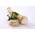 Horseradish von ‎Quast Meerrettich