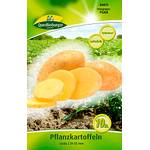 Quedlinburger Saatgut Pflanzkartoffeln Linda