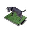Hundetoilette von QWORK