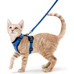 rabbitgoo Katzen-Softgeschirr