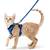 rabbitgoo Katzen-Softgeschirr