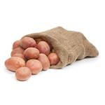 Raiffeisen Pflanzkartoffeln Laura