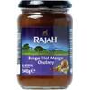 Bengal Mango-Chutney von RAJAH