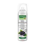 Rausch Dry Shampoo