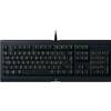 Cynosa Lite von Razer