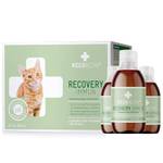 Recoactiv Recovery Immun für Katzen