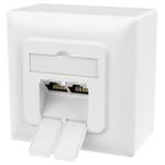 Redstar24 Netzwerkdose