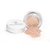 Mineralpuder von Reflectives reflective natural pigments