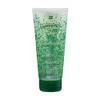 Forticea Shampoo von Rene Furterer
