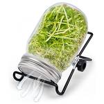 Retoteng Sprossenglas