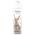 Lime & Waterlily von Rexona