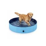 Rgaden Hundepool
