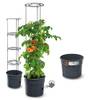 Tomatentopf von rg-vertrieb