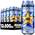 Energy Drink Blueberry Mint von Rockstar