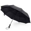 Regenschirm von Roebury