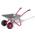 Kinderschubkarre von Rolly Toys
