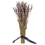 Rosemarie Schulz Heidelberg getrocknete Lavendelblüten