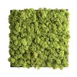 Rosemarie Schulz Moosbild