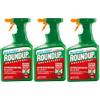 Express Spray von Roundup