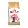 ‎3182550770941 von Royal Canin