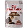 Ageing +12 von Royal Canin