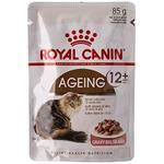 Royal Canin Ageing 12+
