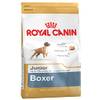Boxer Junior von Royal Canin