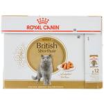 Royal Canin British Shorthair