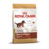 Dachshund Junior von Royal Canin