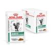 Diabetes Katzenfutter von Royal Canin