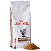 Gastrointestinal Fibre Response von Royal Canin
