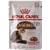 Royal Canin Indoor Longhair