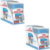 Medium Puppy Nassfutter von Royal Canin