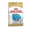 Puppy French Bulldog von Royal Canin