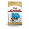 Shih Tzu Junior von Royal Canin