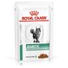 Vet Diet Diabetic von Royal Canin