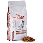 Royal Canin Vet Gastrointestinal