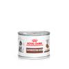 Gastrointestinal Puppy von Royal Canin
