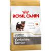 Yorkshire Junior von Royal Canin