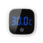 Ruizhi Aquarium Thermometer