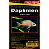 Daphnien von SAHAWA