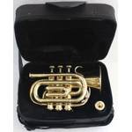 Sai Musical JM-17U9-25QY