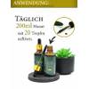 Chlorophyll-Tropfen von Saint Nutrition
