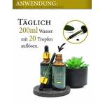 Saint Nutrition Chlorophyll-Tropfen