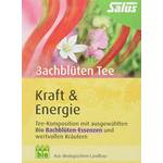 Salus Kraft & Energie