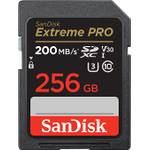 SanDisk 256 GB Extreme PRO