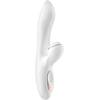 Pro 2 von Satisfyer