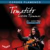 Flamenco T50J von Savarez